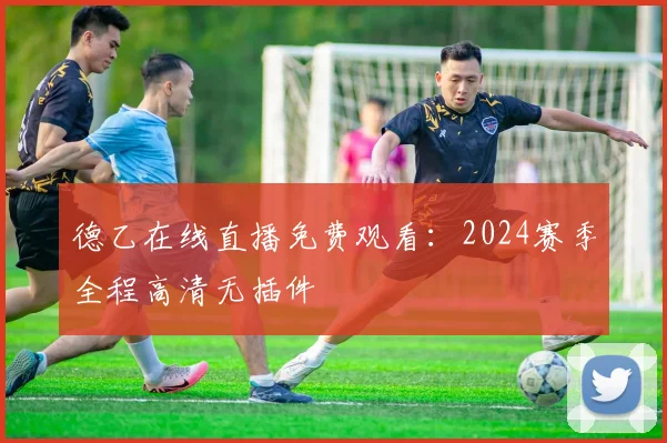 德乙在线直播免费观看：2024赛季全程高清无插件