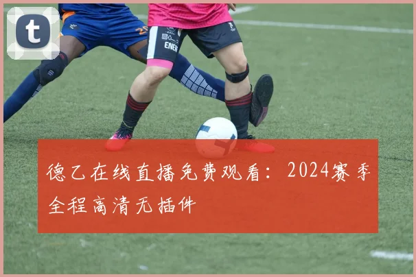 德乙在线直播免费观看：2024赛季全程高清无插件