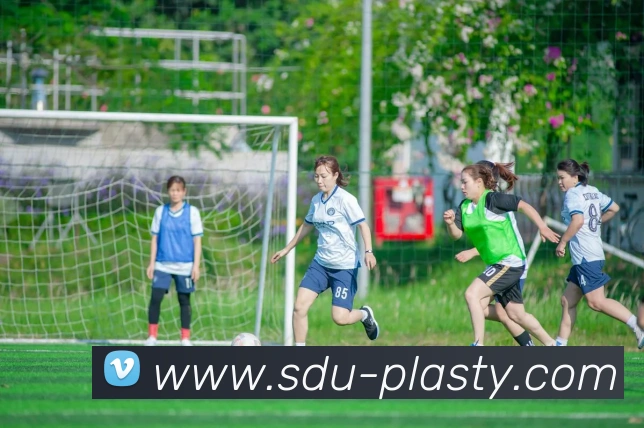 德乙在线直播免费观看：2024赛季全程高清无插件